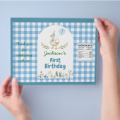 Gekke Goose Blue Balloon Verjaardag Chip Bag Wrapp Flyer (Hand)