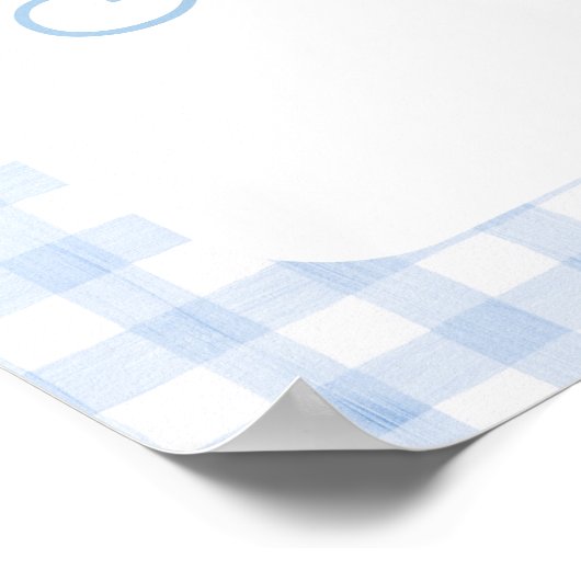 Gekke Goose Blue Gingham Verjaardag Welkomstbord Poster (Hoek)