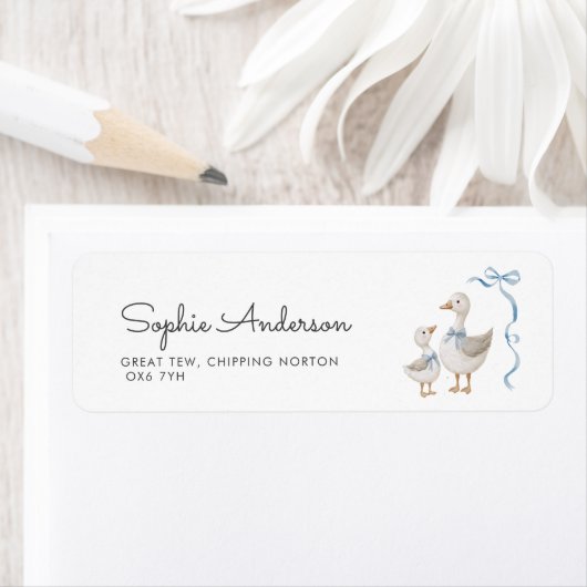 Gekke Goose Boy Baby shower Adres Etiket (Insitu)