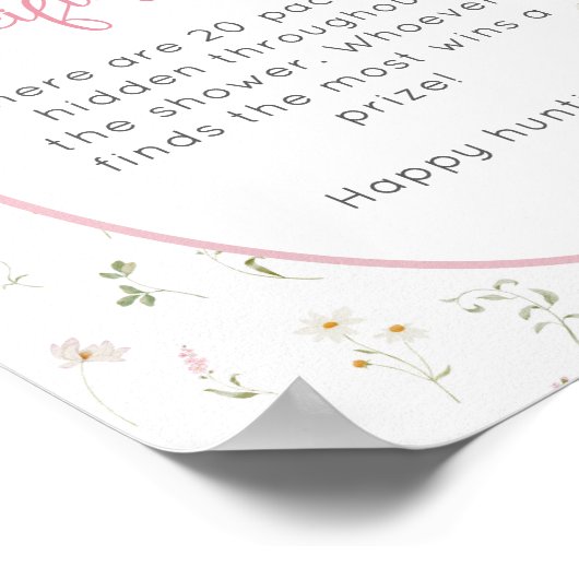 Gekke Goose Girl Baby shower Pacifier Hunt Poster (Hoek)