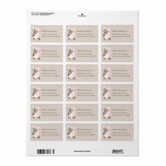 Gekke Goose Roze Bow Girl Retour Adreslabels Etiket (Full Sheet)