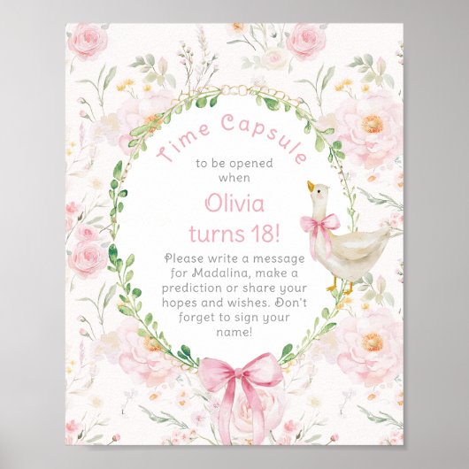 Gekke Goose Time Capsule 1e Verjaardag roze boog Poster (Voorkant)