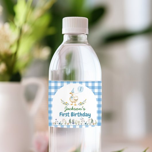 Gekke Goose Verjaardag Party Water Bottle Label Waterfles Etiket