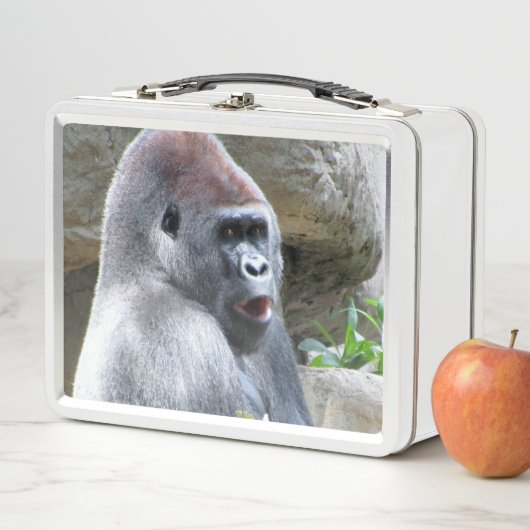 Gekke Gorilla Metal Lunchbox (In situ)