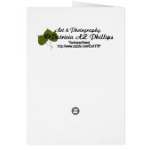 Gekke gouden retroflecterende fotografie, leeg bin (Achterkant)