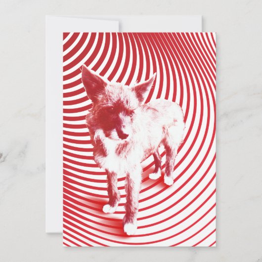 gekke hagel kaart (Voorkant)