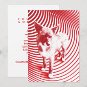 gekke hagel kaart (Voorkant / Achterkant)