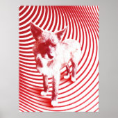 gekke hagel poster (Voorkant)