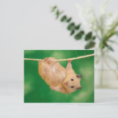 gekke hamster briefkaart (Staand voorkant)