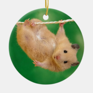 gekke hamster keramisch ornament