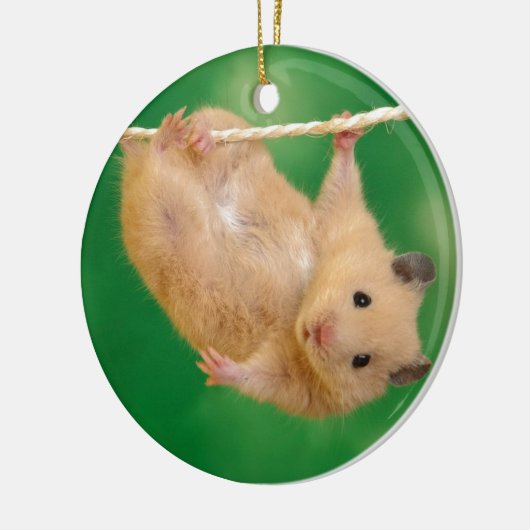 gekke hamster keramisch ornament (Links)