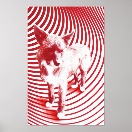 gekke hazie poster (Voorkant)
