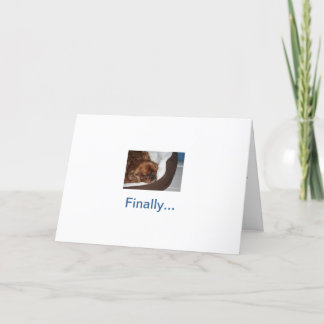 Gekke hondenpensioen kaart