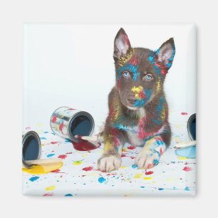 Gekke Husky Puppy kreeg verfemmers Magneet