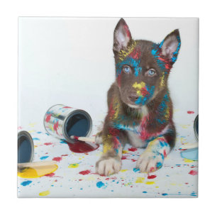Gekke Husky Puppy kreeg verfemmers Tegeltje