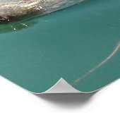 Gekke Kaapskabelzegel op achterzijde drijven Poster (Hoek)