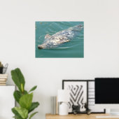 Gekke Kaapskabelzegel op achterzijde drijven Poster (Thuiskantoor)