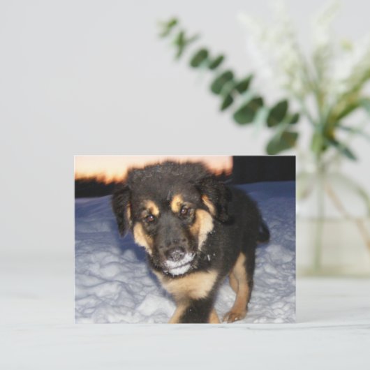 Gekke kant Briefkaarten (Staand voorkant)