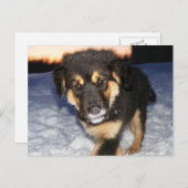 Gekke kant Briefkaarten (Voorkant / Achterkant)