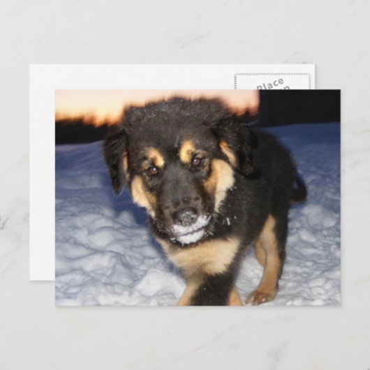 Gekke kant Briefkaarten (Voorkant / Achterkant)