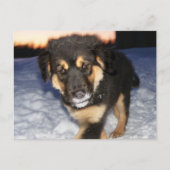 Gekke kant Briefkaarten (Voorkant)