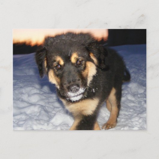 Gekke kant Briefkaarten (Voorkant)