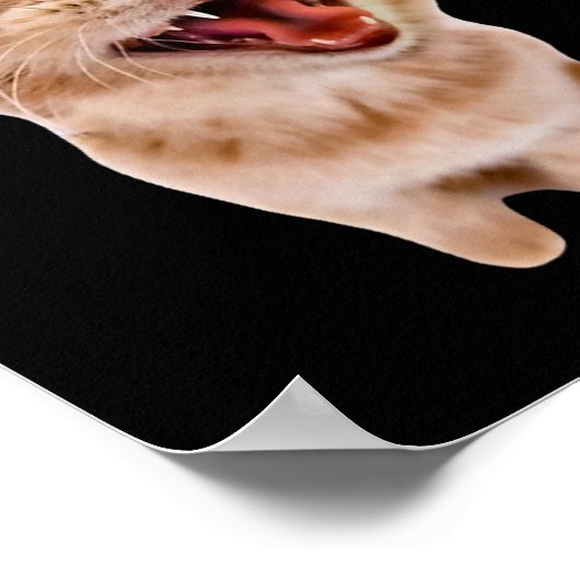 Gekke kat met hoofdtelefoon poster (Hoek)