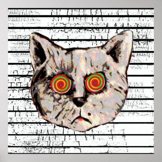 gekke katachtige spiraalogen poster (Voorkant)