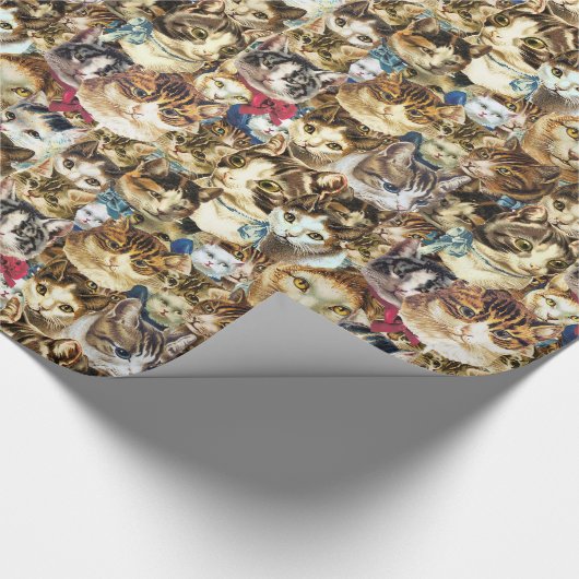 Gekke kattenbont cadeaupapier (Hoek)