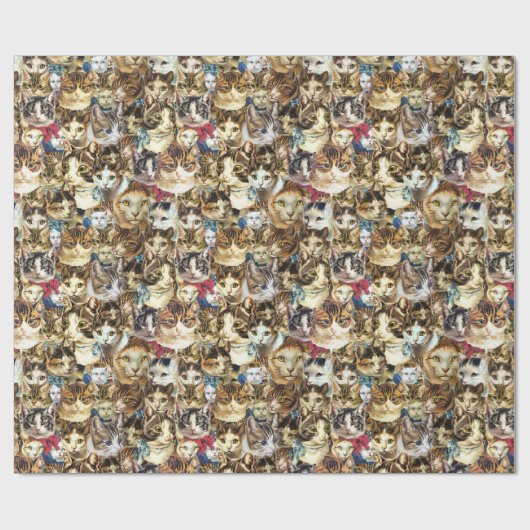 Gekke kattenbont cadeaupapier (Vlak)