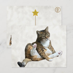 Gekke kattenpose - Annie's Briefkaart
