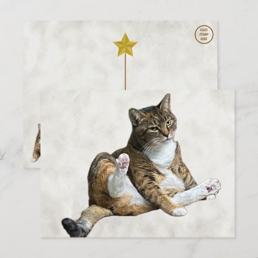 Gekke kattenpose - Annie's Briefkaart (Voorkant / Achterkant)