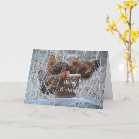 Gekke kippen Verjaardag Kaart (Gele Bloem)