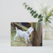 Gekke klein Kind Briefkaart (Staand voorkant)