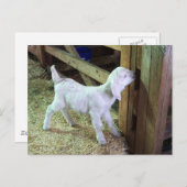 Gekke klein Kind Briefkaart (Voorkant / Achterkant)