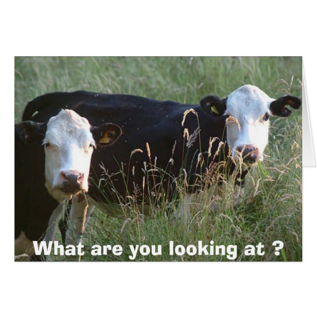 gekke koeienkaart (Voorkant Horizontaal)