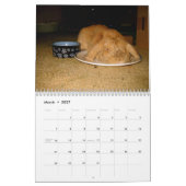 gekke konijn kalender (Mar 2027)