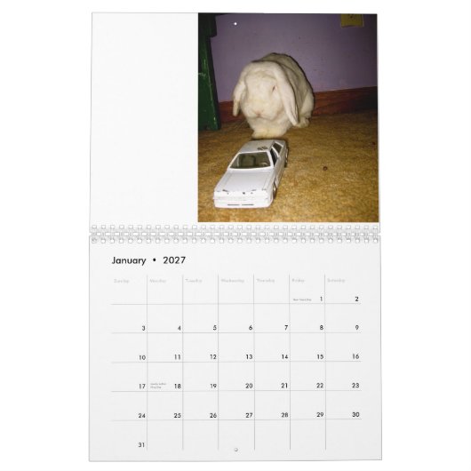 gekke konijn kalender (Jan 2027)
