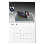 Gekke kunstwerken die Pop, Kalender (Jan 2027)