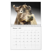Gekke kunstwerken die Pop, Kalender (Feb 2027)