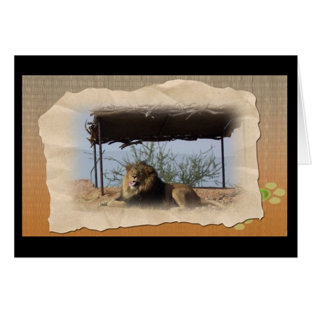 Gekke leeuw (Voorkant Horizontaal)