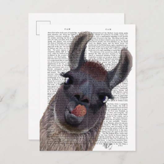 Gekke Llama Briefkaart (Voorkant / Achterkant)