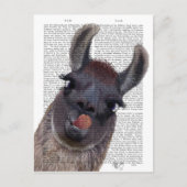 Gekke Llama Briefkaart (Voorkant)