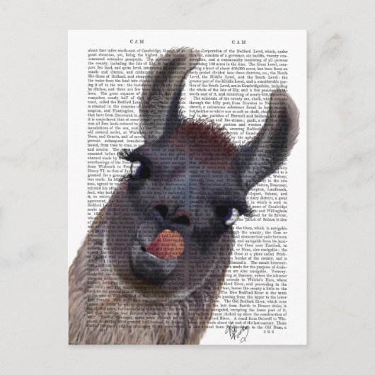 Gekke Llama Briefkaart (Voorkant)