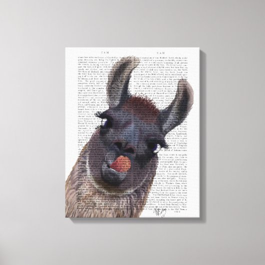 Gekke Llama Canvas Afdruk (Voorkant)