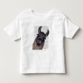 Gekke Llama Kinder Shirts (Voorkant)