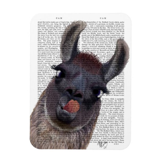 Gekke Llama Magneet (Verticaal)