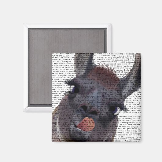 Gekke Llama Magneet (Voorkant / Achterkant)