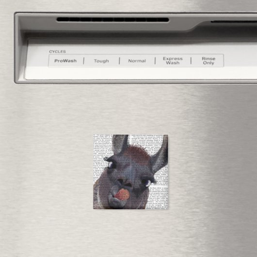 Gekke Llama Magneet (Insitu (Vaatwasser))