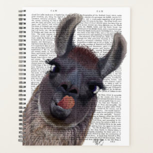 Gekke Llama Planner